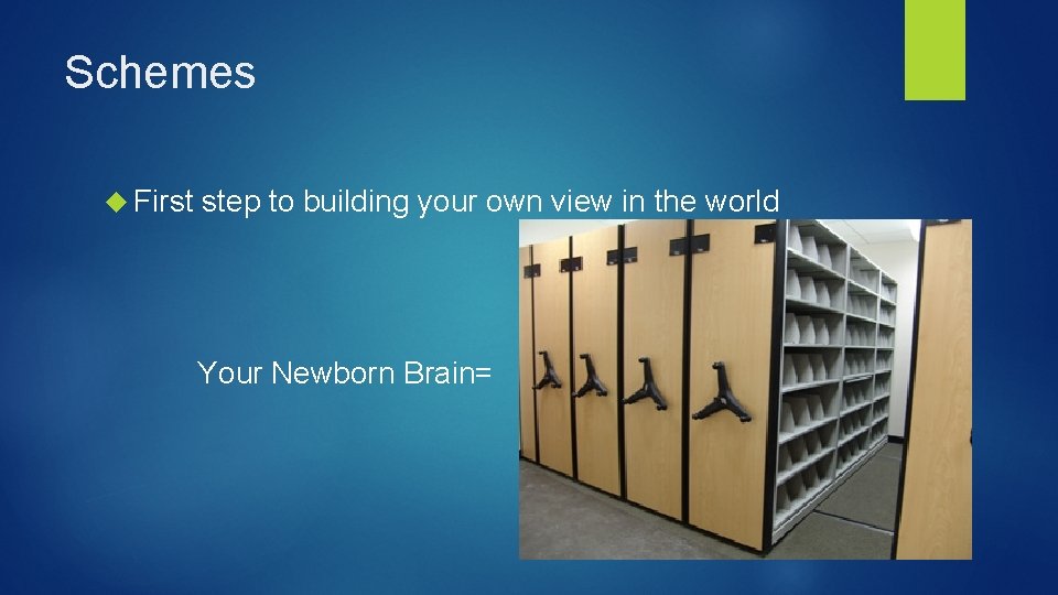 Schemes First step to building your own view in the world Your Newborn Brain=