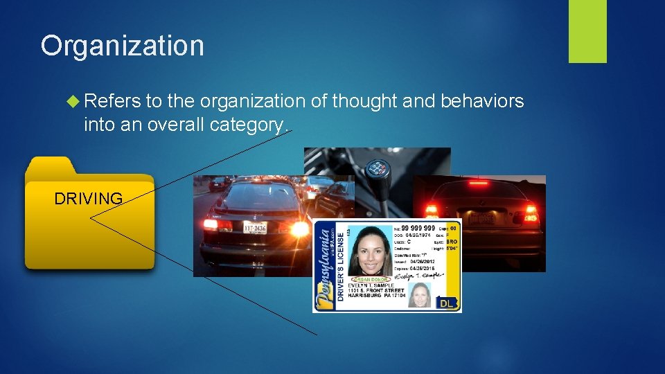 Organization Refers to the organization of thought and behaviors into an overall category. DRIVING