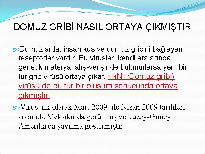 DOMUZ GRİBİ NASIL ORTAYA ÇIKMIŞTIR Domuzlarda, insan, kuş ve domuz gribini bağlayan reseptörler vardır.