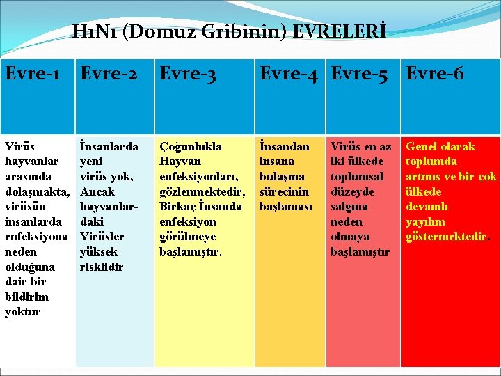 H 1 N 1 (Domuz Gribinin) EVRELERİ Evre-1 Evre-2 Evre-3 Evre-4 Evre-5 Evre-6 Virüs