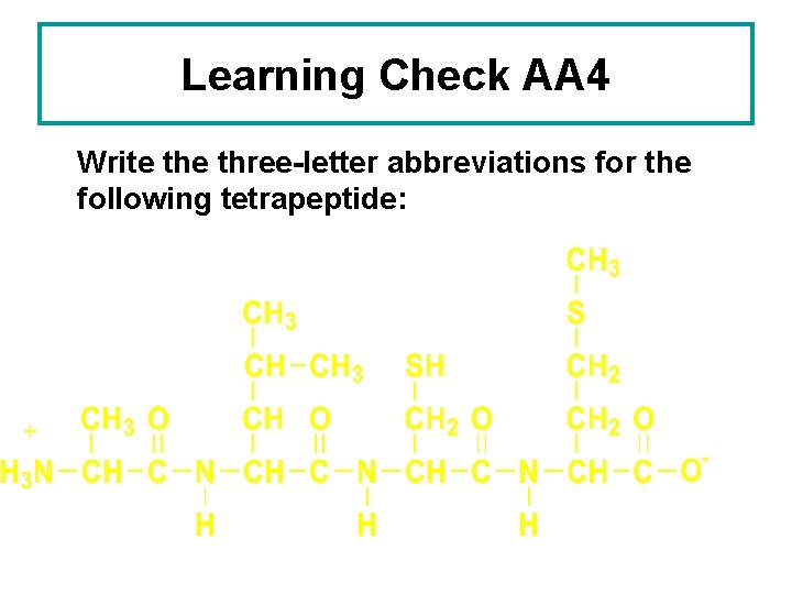 Learning Check AA 4 Write three-letter abbreviations for the following tetrapeptide: 