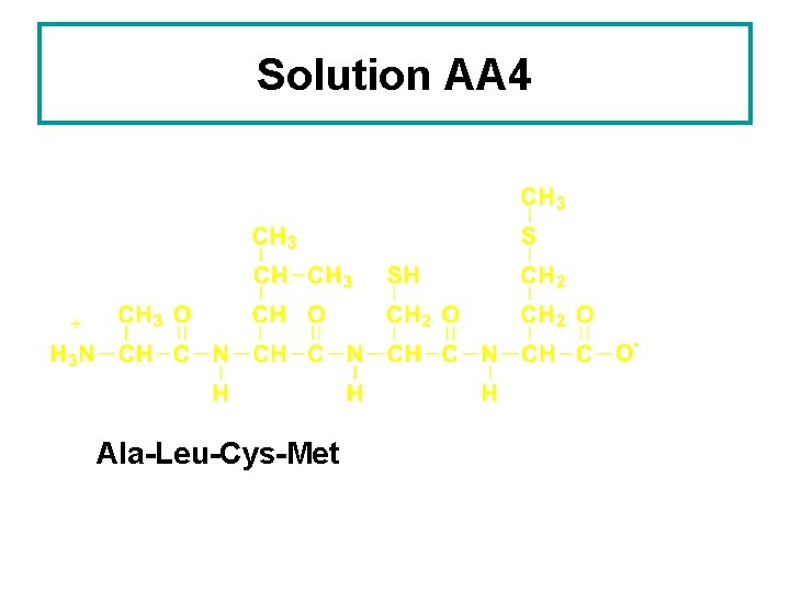 Solution AA 4 Ala-Leu-Cys-Met 