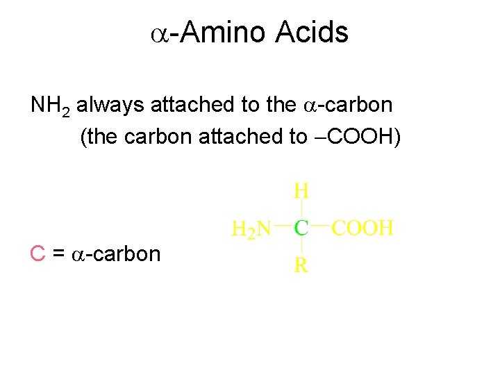  -Amino Acids NH 2 always attached to the -carbon (the carbon attached to