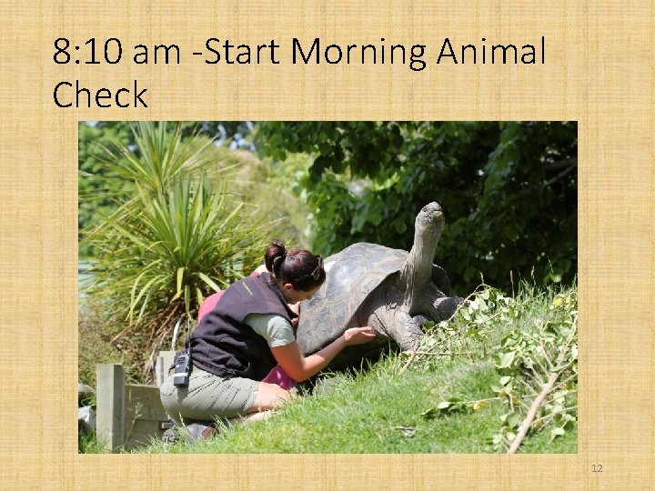 8: 10 am -Start Morning Animal Check 12 