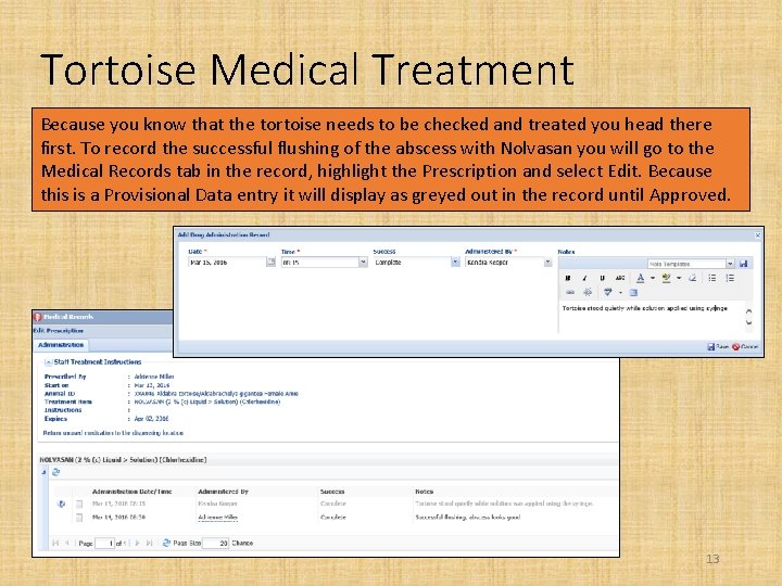 Tortoise Medical Treatment Because you know that the tortoise needs to be checked and