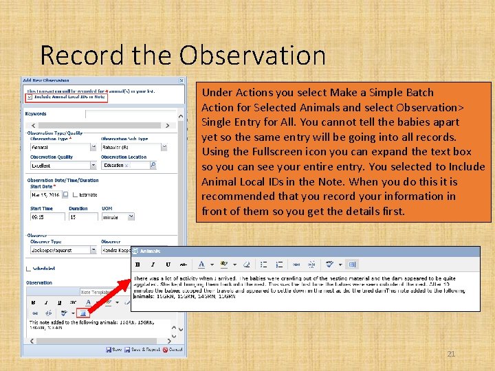 Record the Observation Under Actions you select Make a Simple Batch Action for Selected