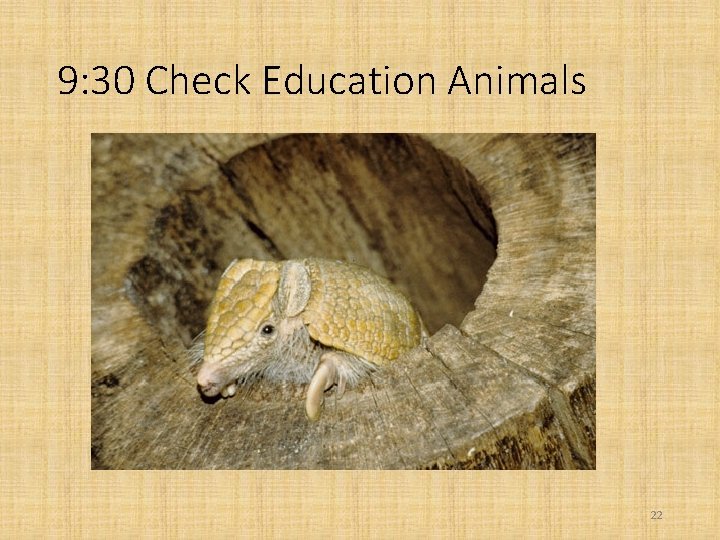 9: 30 Check Education Animals 22 