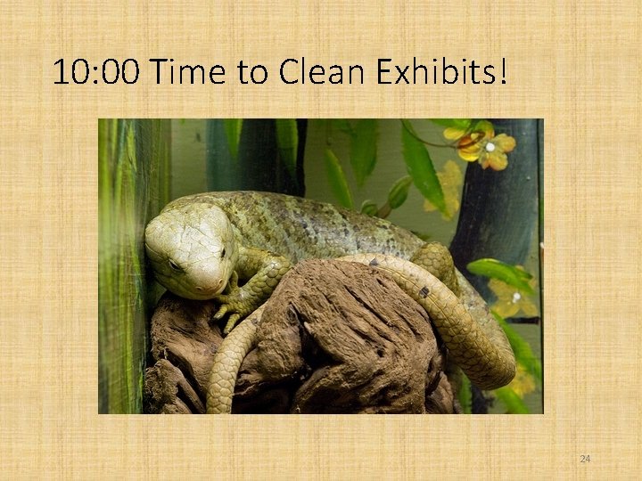 10: 00 Time to Clean Exhibits! 24 