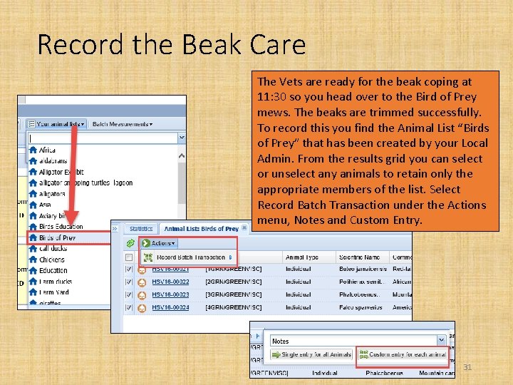 Record the Beak Care The Vets are ready for the beak coping at 11: