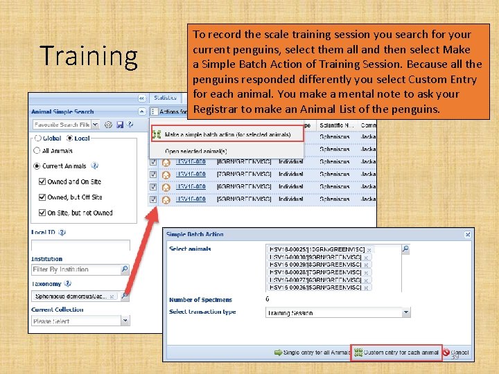 Training To record the scale training session you search for your current penguins, select