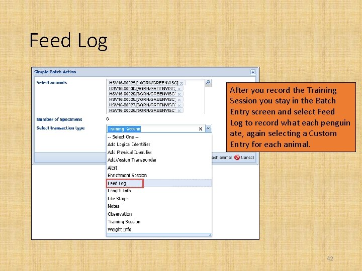 Feed Log After you record the Training Session you stay in the Batch Entry