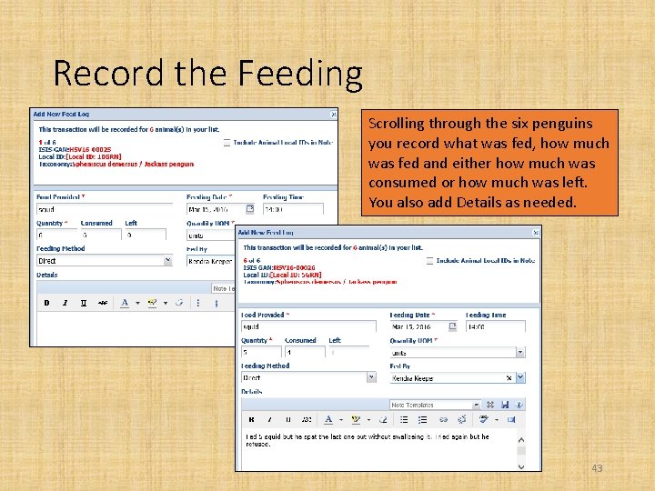 Record the Feeding Scrolling through the six penguins you record what was fed, how