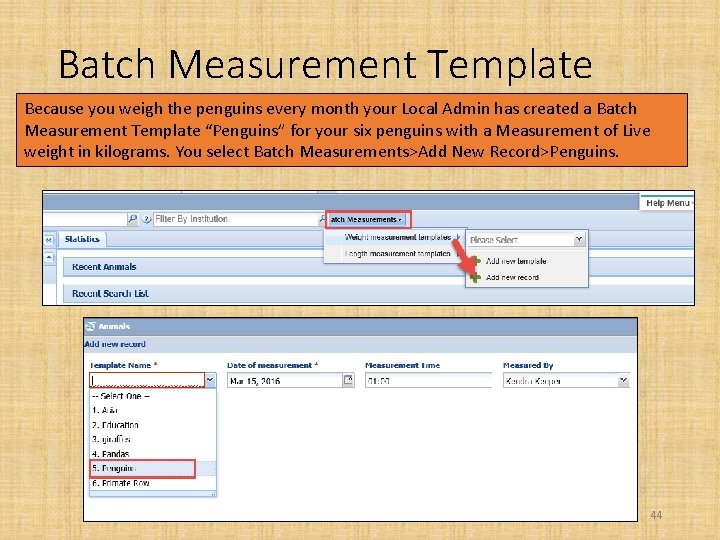Batch Measurement Template Because you weigh the penguins every month your Local Admin has