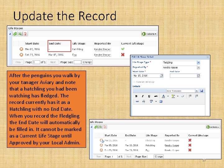 Update the Record After the penguins you walk by your tanager Aviary and note