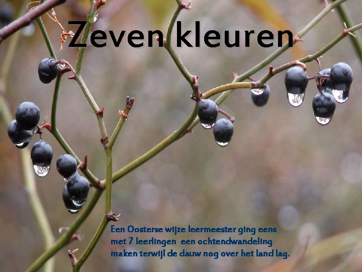 Zeven kleuren Een Oosterse wijze leermeester ging eens met 7 leerlingen een ochtendwandeling maken