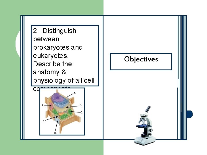 2. Distinguish between prokaryotes and eukaryotes. Describe the anatomy & physiology of all cell 2. Distinguish between prokaryotes and eukaryotes. Describe the anatomy & physiology of all cell