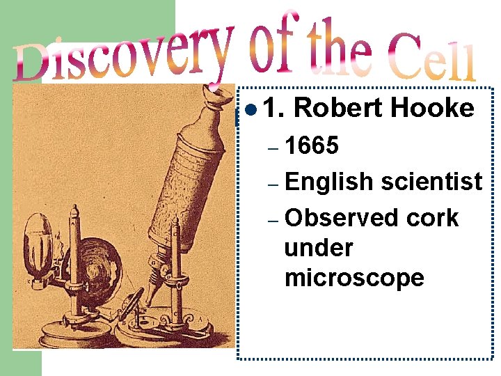l 1. Robert Hooke – 1665 – English scientist – Observed cork under microscope l 1. Robert Hooke – 1665 – English scientist – Observed cork under microscope