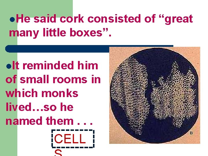 l. He said cork consisted of “great many little boxes”. l. It reminded him l. He said cork consisted of “great many little boxes”. l. It reminded him