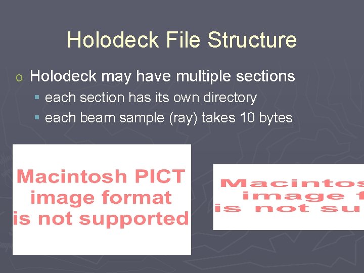 Holodeck File Structure o Holodeck may have multiple sections § each section has its