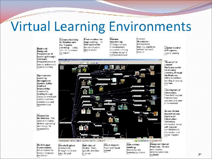 Virtual Learning Environments 30 