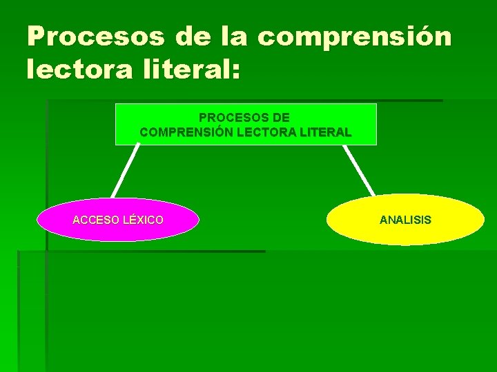 Procesos de la comprensión lectora literal: PROCESOS DE COMPRENSIÓN LECTORA LITERAL ACCESO LÉXICO ANALISIS
