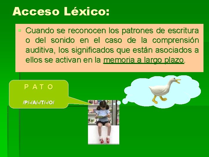 Acceso Léxico: § Cuando se reconocen los patrones de escritura o del sonido en