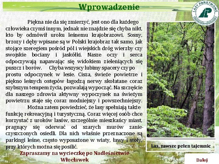 Wprowadzenie Piękna nie da się zmierzyć, jest ono dla każdego człowieka czymś innym, jednak