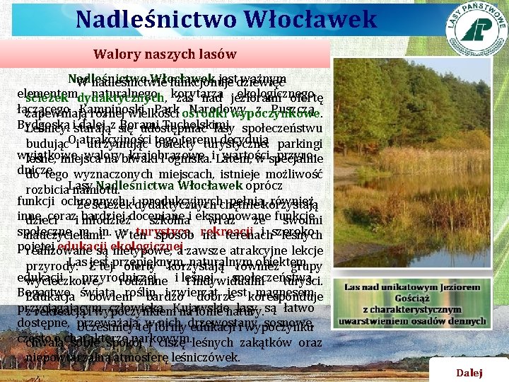 Nadleśnictwo Włocławek Walory naszych lasów Nadleśnictwo Włocławek jestdziewięć ważnym W nadleśnictwie funkcjonuje elementem naturalnego