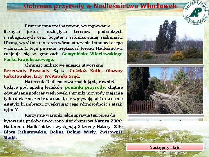 Ochrona przyrody w Nadleśnictwa Włocławek Urozmaicona rzeźba terenu, występowanie licznych jezior, rozległych terenów podmokłych