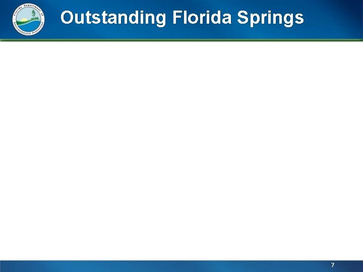 Outstanding Florida Springs 7 