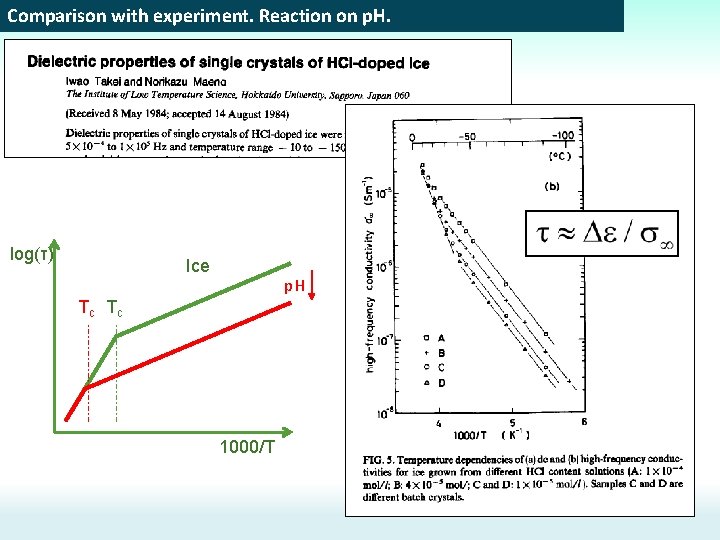 Comparison with experiment. Reaction on p. H. log(τ) Ice p. H Tc Tc 1000/T