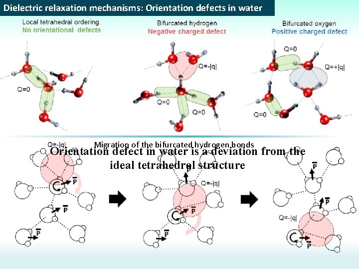 Dielectric relaxation mechanisms: Orientation defects in water Migration of the bifurcated hydrogen bonds Orientation