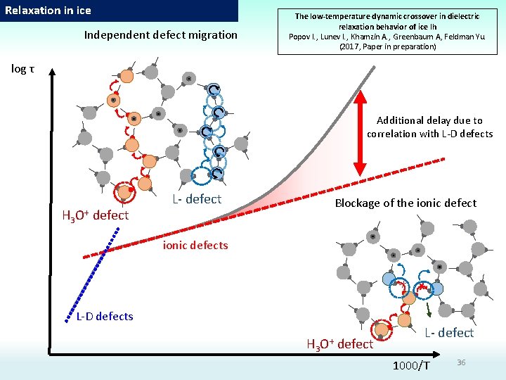 Relaxation in ice Independent defect migration The low-temperature dynamic crossover in dielectric relaxation behavior