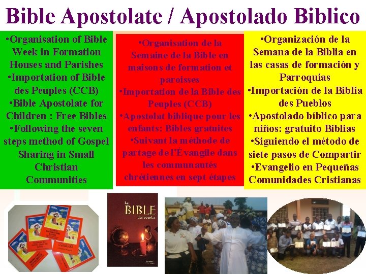 Bible Apostolate / Apostolado Biblico • Organisation of Bible • Organisation de la Week