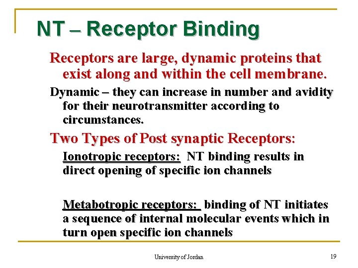 NT – Receptor Binding Receptors are large, dynamic proteins that exist along and within