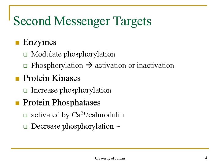 Second Messenger Targets n Enzymes q q n Protein Kinases q n Modulate phosphorylation