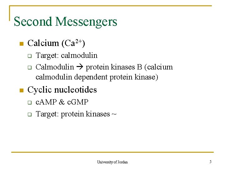 Second Messengers n Calcium (Ca 2+) q q n Target: calmodulin Calmodulin protein kinases