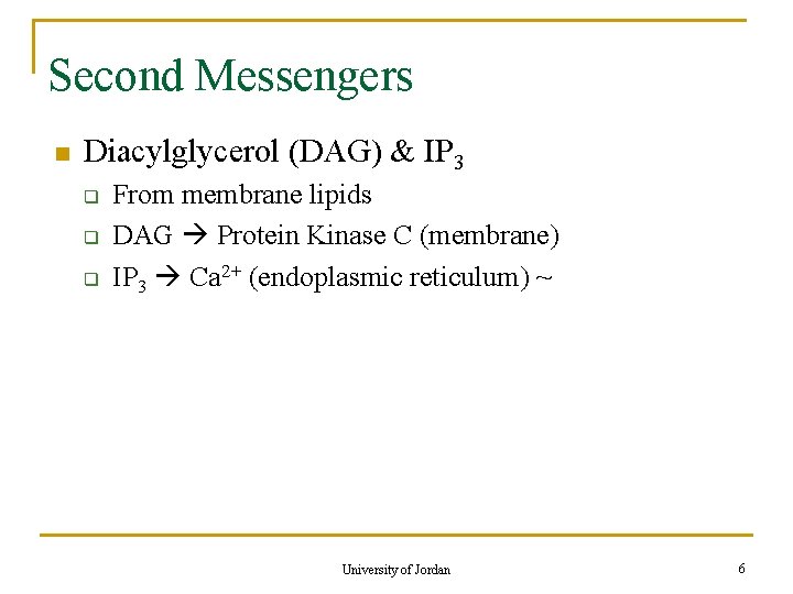 Second Messengers n Diacylglycerol (DAG) & IP 3 q q q From membrane lipids