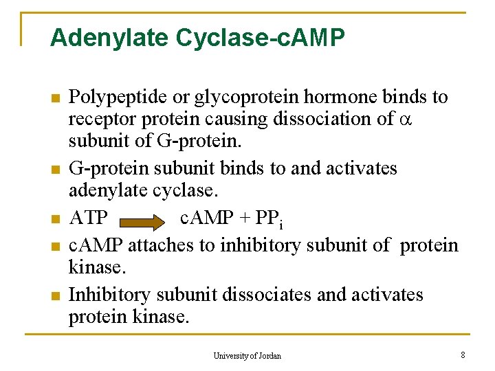 Adenylate Cyclase-c. AMP n n n Polypeptide or glycoprotein hormone binds to receptor protein