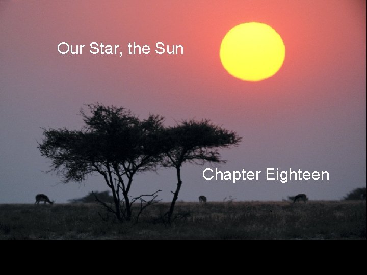 Our Star, the Sun Chapter Eighteen 