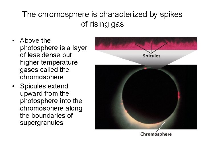 The chromosphere is characterized by spikes of rising gas • Above the photosphere is