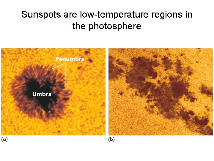 Sunspots are low-temperature regions in the photosphere 