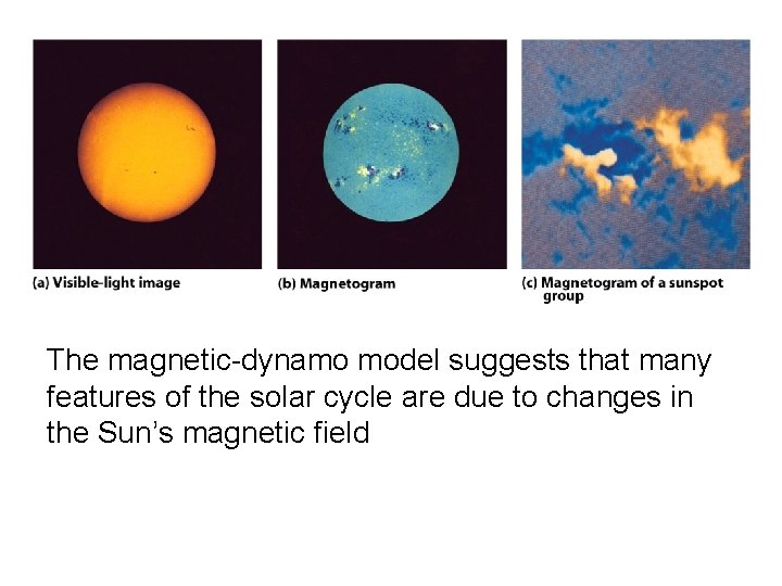 The magnetic-dynamo model suggests that many features of the solar cycle are due to