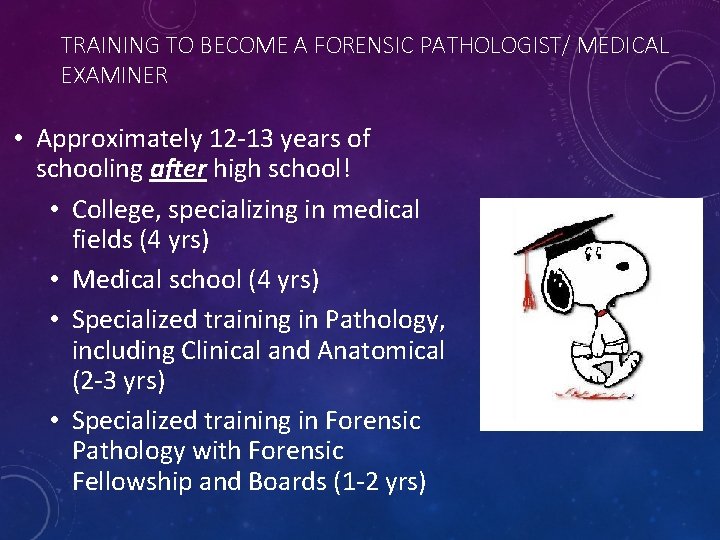 TRAINING TO BECOME A FORENSIC PATHOLOGIST/ MEDICAL EXAMINER • Approximately 12 -13 years of