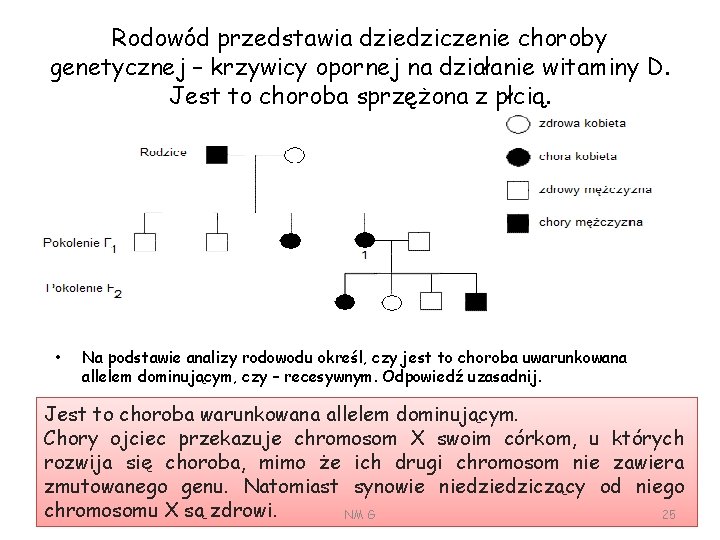 Rodowód przedstawia dziedziczenie choroby genetycznej – krzywicy opornej na działanie witaminy D. Jest to