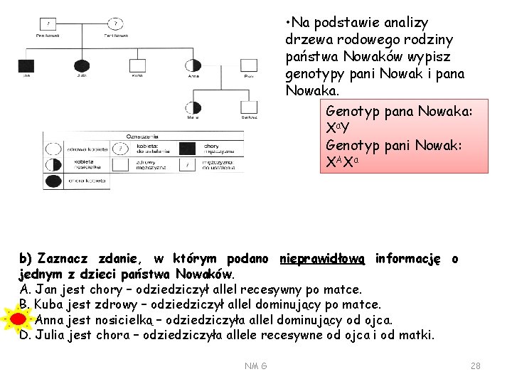  • Na podstawie analizy drzewa rodowego rodziny państwa Nowaków wypisz genotypy pani Nowak