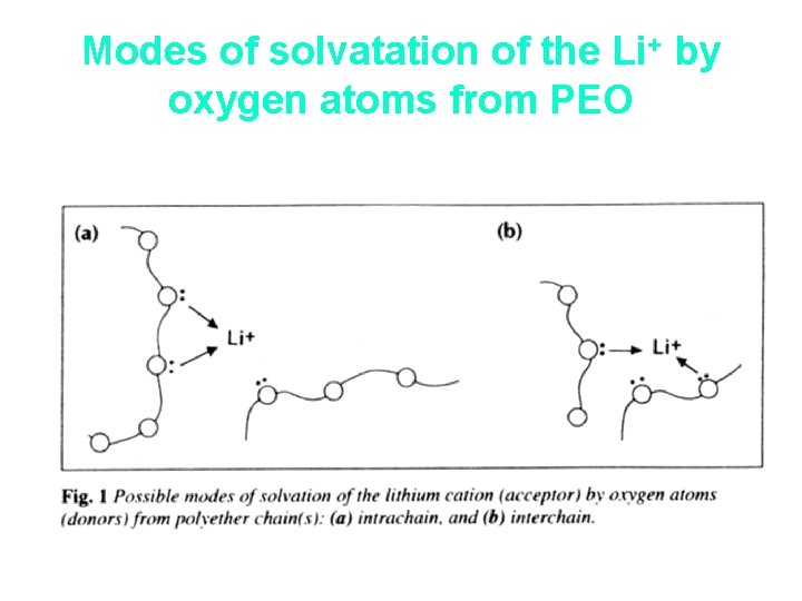 Modes of solvatation of the Li+ by oxygen atoms from PEO 