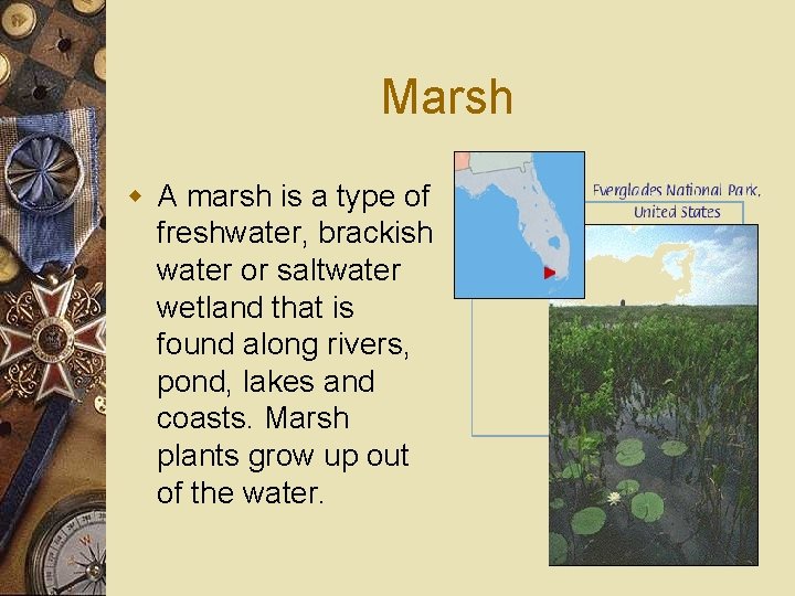 Marsh w A marsh is a type of freshwater, brackish water or saltwater wetland