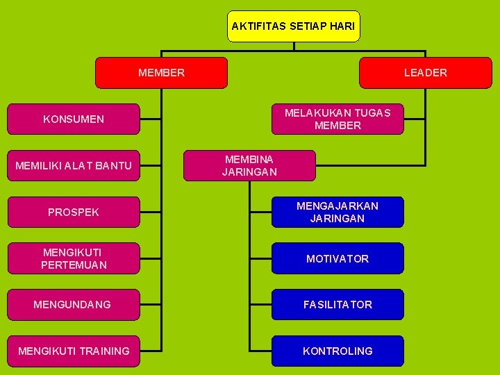 AKTIFITAS SETIAP HARI MEMBER LEADER MELAKUKAN TUGAS MEMBER KONSUMEN MEMILIKI ALAT BANTU MEMBINA JARINGAN