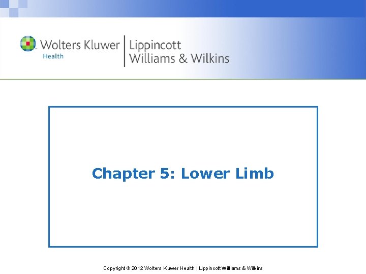 Chapter 5: Lower Limb Copyright © 2012 Wolters Kluwer Health | Lippincott Williams &